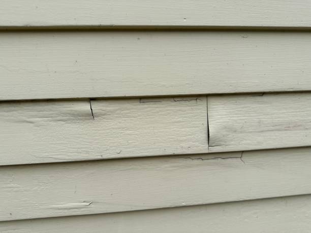Best Hoarding Cleanup  in Lakeway, TX